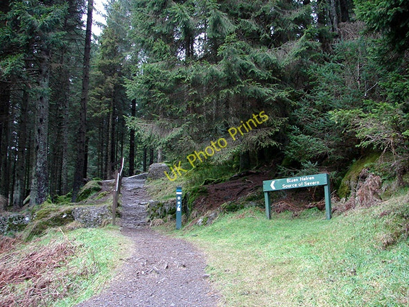 Photo 6"x4" The Severn Way Tynyrwtra\/SN8885 c2009