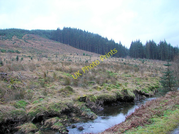 Photo 6"x4" Clear fell beside the Severn Tynyrwtra\/SN8885 c2009