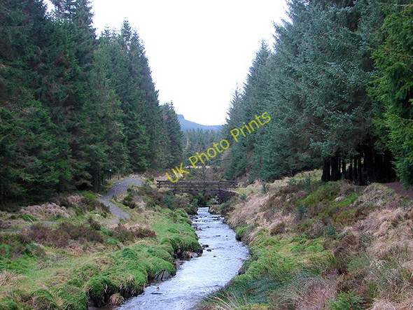 Photo 6"x4" Footbridge over the Severn Hafren Forest c2009