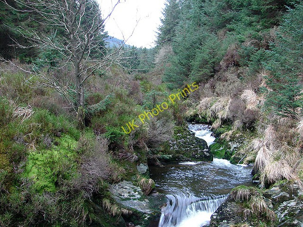 Photo 6"x4" The Severn viewed upstream Hafren Forest c2009