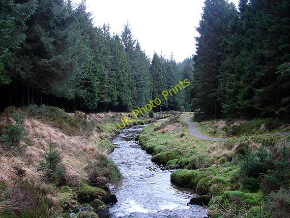 Photo 6"x4" The severn looking downstream Hafren Forest c2009