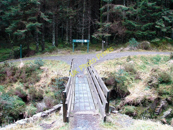 Photo 6"x4" Footbridge over the Severn Hafren Forest c2009