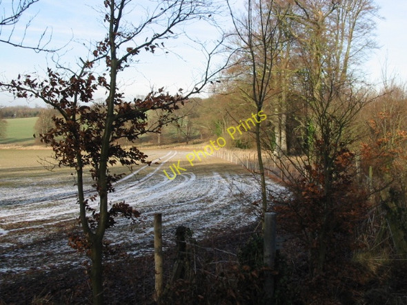 Photo 6"x4" Field boundary parallel to the Old Dover Road Barham\/TR2050 c2009