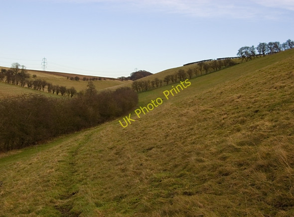 Photo 6"x4" Big Hillside, near North Newbald Sancton c2009