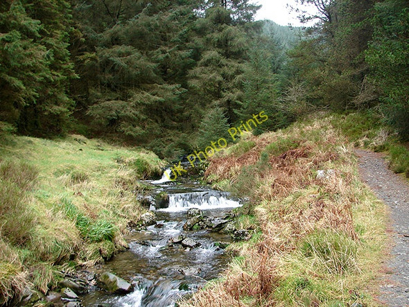 Photo 6"x4" The River Severn Carn Biga c2009