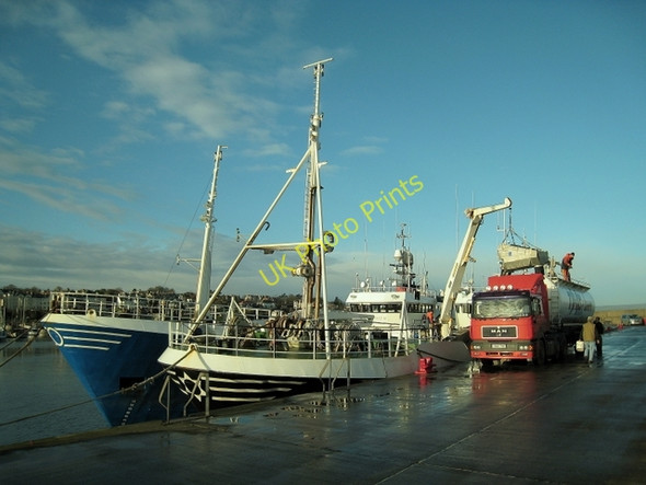 Photo 6"x4" Landing the catch, Bangor Bangor\/J5081 c2009