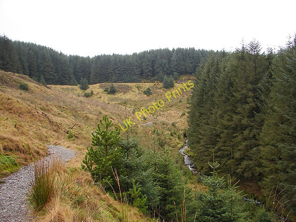 Photo 6"x4" The Severn Way Carreg Wen c2009