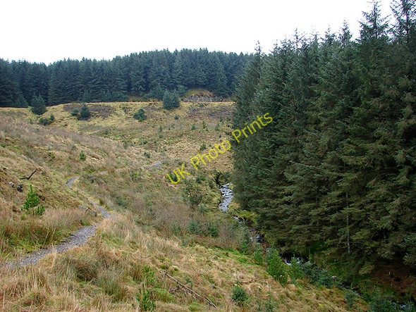 Photo 6"x4" The Severn Way Carreg Wen c2009
