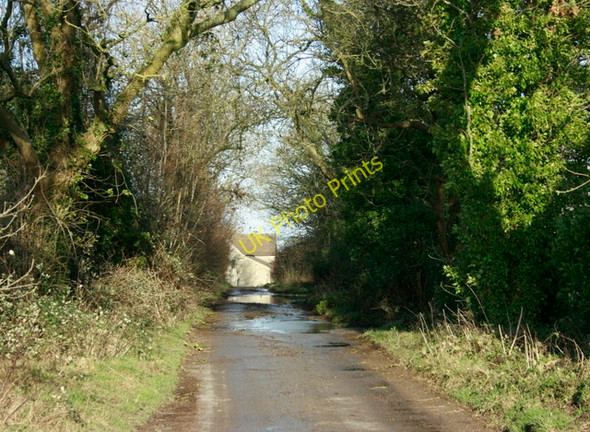 Photo 6"x4" 2009 : Lane to Hall Farm, near Thickwood Slaughterford c2009