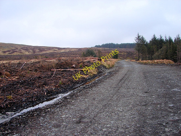 Photo 6"x4" Hafren Forestry Road Carreg Wen c2009