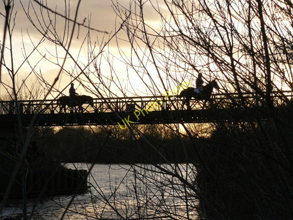 Photo 6"x4" Attenborough Nature Reserve Horses on Barton Bridge Long Eaton c2009