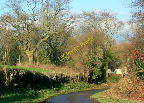 Photo 6"x4" 2009 : North east on Shepherd's Lane East Woodlands\/ST7844 c2009