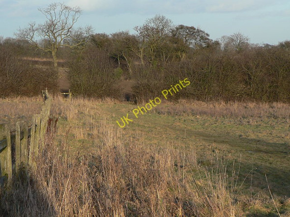 Photo 6"x4" Footpath from Lambley Arnold\/SK5945 c2009
