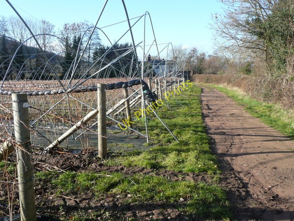 Photo 6"x4" Raspberry tunnels in winter 1 Kingstone\/SO6324 c2009