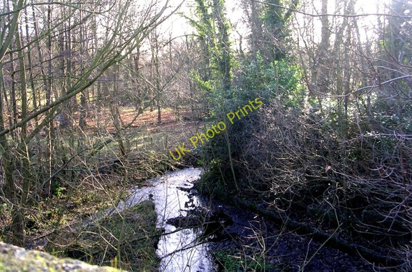 Photo 6"x4" Stream - Wetherby Road Lady Wood\/SE3337 c2009