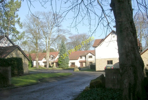 Photo 6"x4" Tudor Lawns - Wetherby Road Lady Wood\/SE3337 c2009