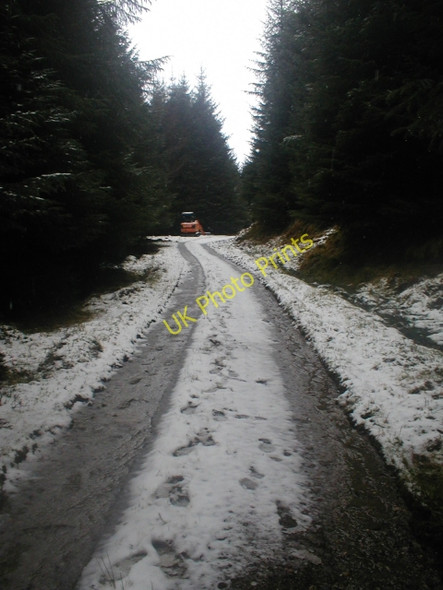 Photo 6"x4" Forest Track, Glenpean Meall an Fh\u00ecr-e\u00f2in\/NM9589 c2009