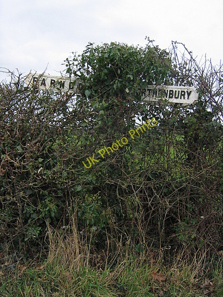 Photo 6"x4" 19th Century guidepost near Shocklach Shocklach c2009
