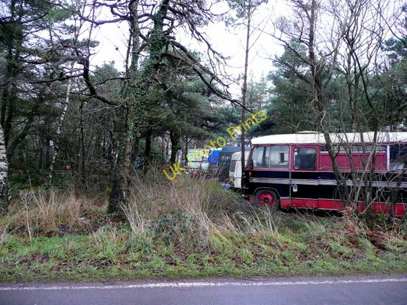 Photo 6"x4" Edge of an encampment Harcombe\/SX8881 c2009