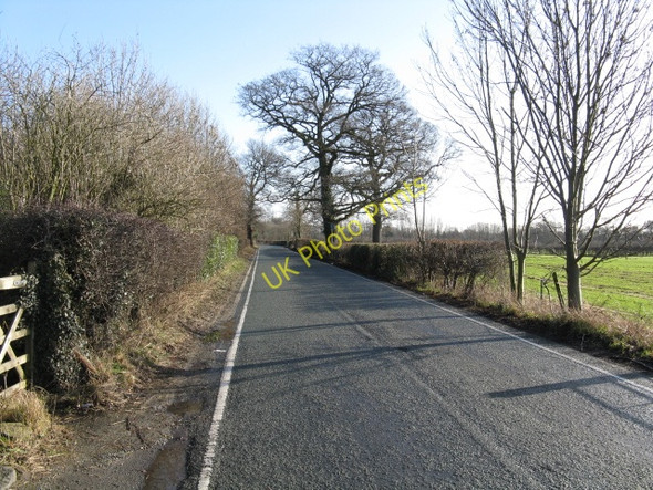 Photo 6"x4" Bow Green Road Hale\/SJ7686 c2009