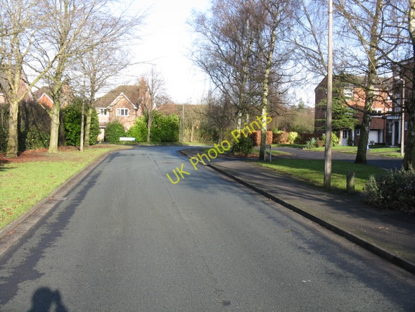 Photo 6"x4" Oakwood Lane Hale\/SJ7686 c2009