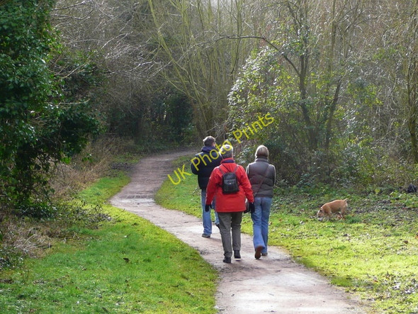 Photo 6"x4" Walking on the Town and Country Trail Ross-on-Wye c2009
