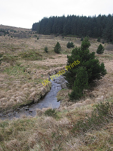 Photo 6"x4" Afon Lluestgota Afon Lluestgota c2009