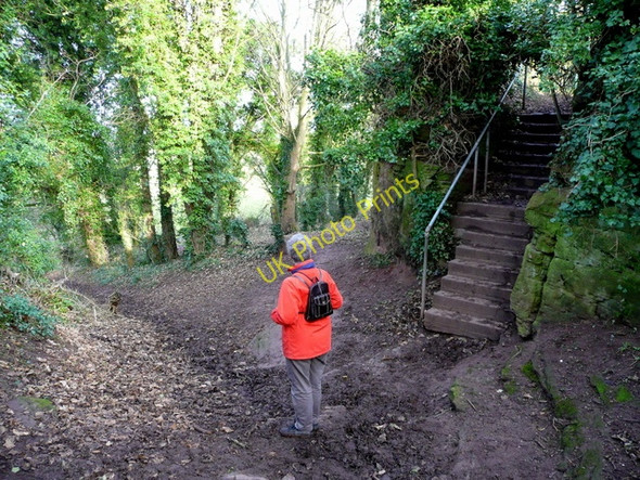 Photo 6"x4" Which way now? Ross-on-Wye c2009