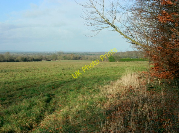 Photo 6"x4" 2009 : Looking north near Lucknam Park Thickwood c2009