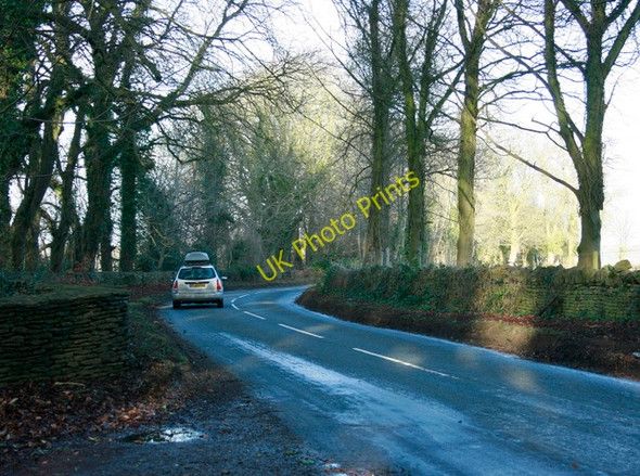 Photo 6"x4" 2009 : Near Lucknam Park Thickwood c2009