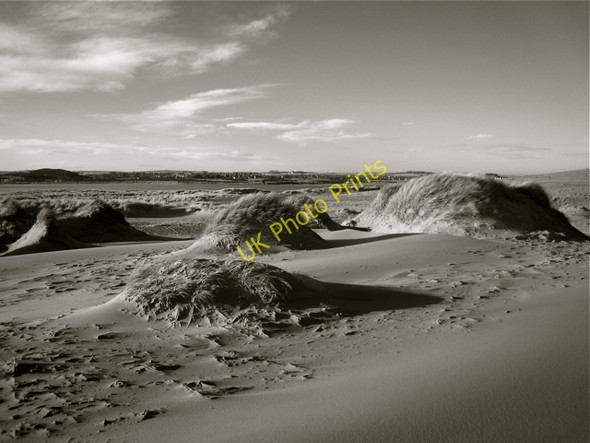 Photo 6"x4" Newburgh: The Sands of Forvie Newburgh\/NJ9925 c2009 P1
