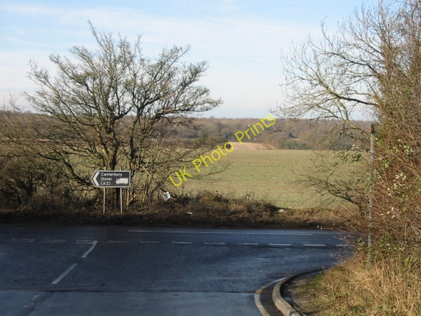 Photo 6"x4" Cooting Down from Cooting Lane Adisham c2009