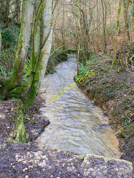 Photo 6"x4" River Frome, Dorvel Wood, Sapperton Daneway c2009