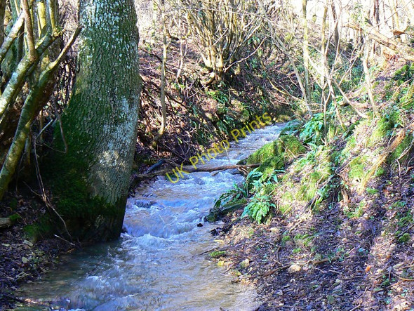 Photo 6"x4" Holy Brook, Siccaridge Wood, near Frampton Mansell Daneway c2009