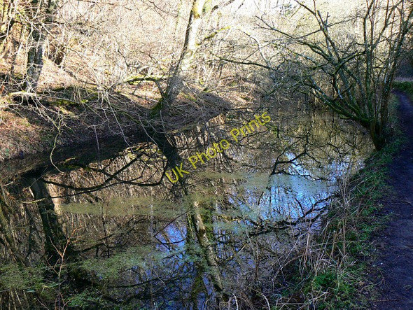 Photo 6"x4" Reflections in the Thames and Severn canal near Frampton Mansell Frampton Mansell c2009