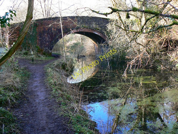 Photo 6"x4" Whitehall Bridge, near Frampton Mansell Frampton Mansell c2009