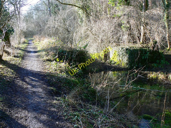 Photo 6"x4" Whitehall Upper Lock, Thames and Severn canal, near Frampton Mansell Daneway c2009