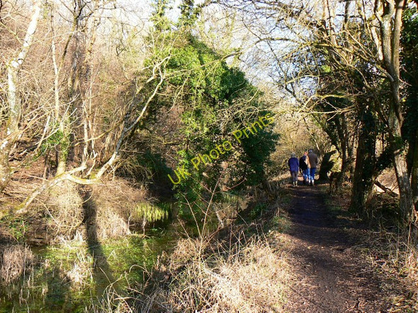 Photo 6"x4" Towpath, Thames and Severn canal, near Frampton Mansell Daneway c2009