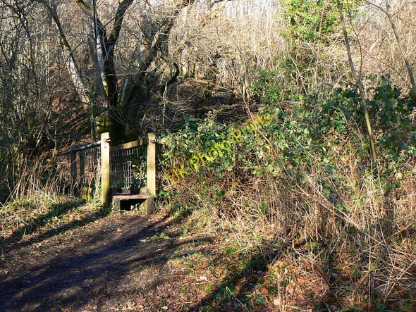 Photo 6"x4" Footbridge, Thames and Severn canal, near Frampton Mansell Daneway c2009