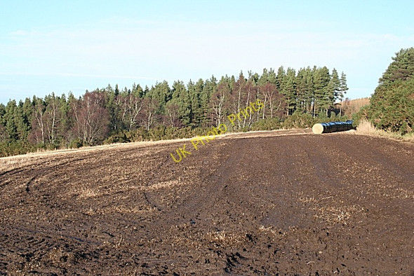 Photo 6"x4" Field near Newtack Inchberry\/NJ3155 c2009