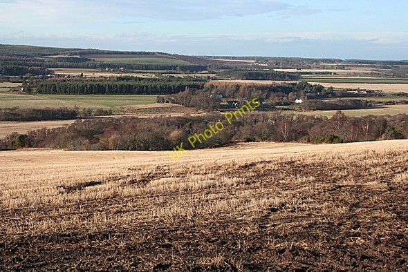 Photo 6"x4" Near Newtack Inchberry\/NJ3155 c2009