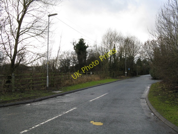 Photo 6"x4" Hasty Lane Remnant Davenport Green\/SJ8086 c2009