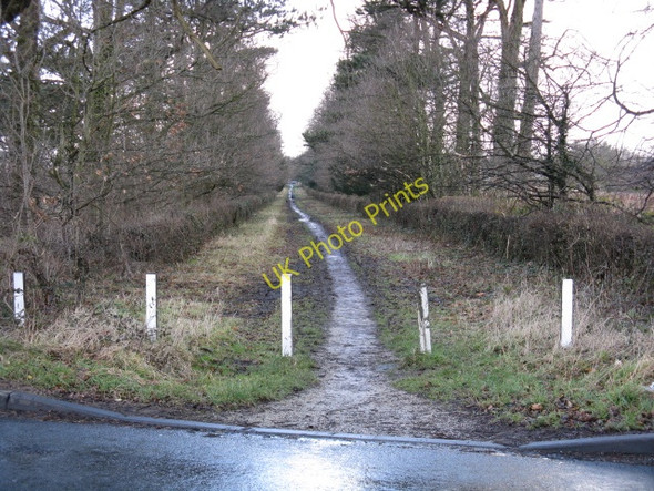 Photo 6"x4" Brooks Drive Davenport Green\/SJ8086 c2009