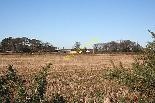 Photo 6"x4" Westerton of Dipple Inchberry\/NJ3155 c2009