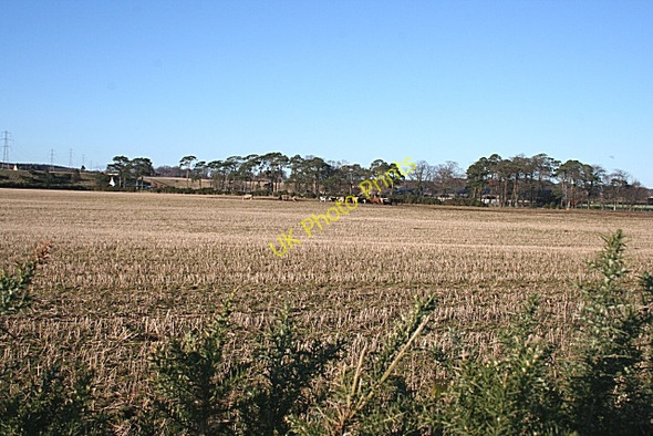 Photo 6"x4" Westerton of Dipple Inchberry\/NJ3155 c2009 P1