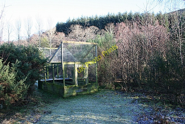 Photo 6"x4" Crow Trap Orton\/NJ3153 c2009