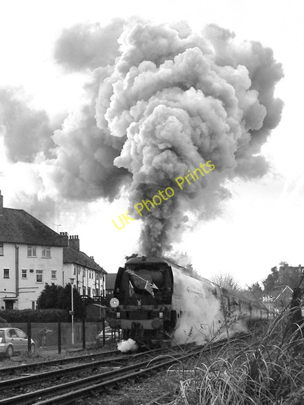 Photo 6"x4" Folkestone Harbour Branch Folkestone c2009