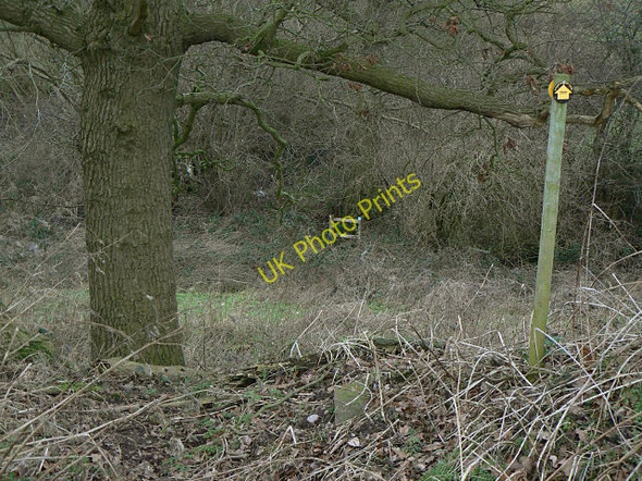 Photo 6"x4" Steep Hill Dunstal c2009