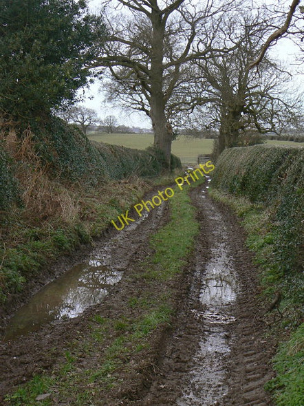 Photo 6"x4" Heatley Back Lane Dunstal c2009