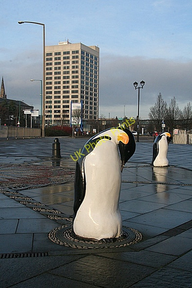 Photo 6"x4" Penguins in Dundee Newport-on-Tay c2009